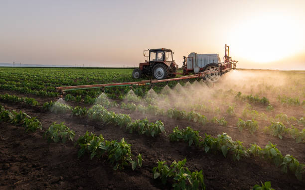 Best Mosquito Control Services  in Hart, TX