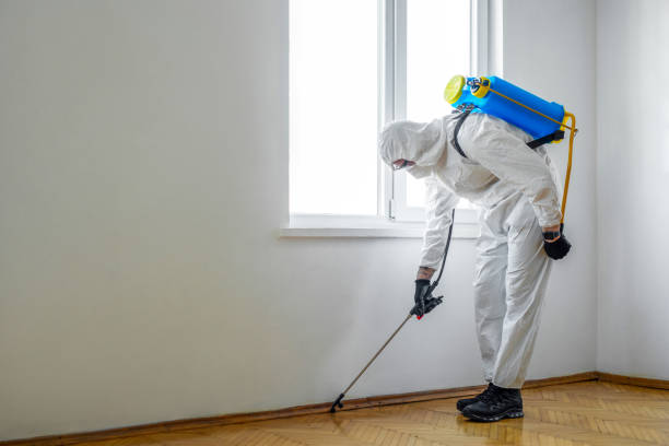 Best Best Pest Control Companies  in Hart, TX