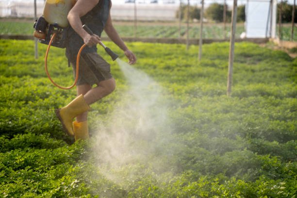 Best Pest Control for Restaurants  in Hart, TX