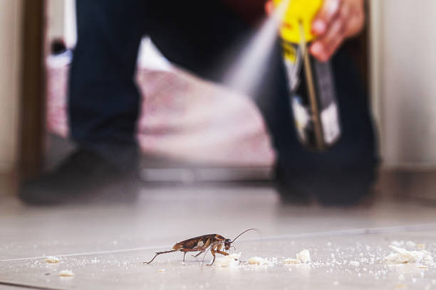 Best Residential Pest Control  in Hart, TX