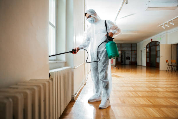 Reliable Hart, TX Pest Control Solutions