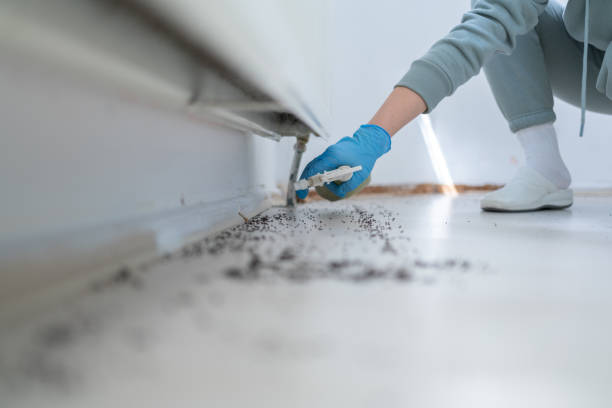 Best Residential Pest Control  in Hart, TX