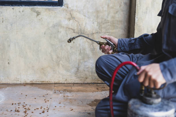 Best Local Pest Control Services  in Hart, TX