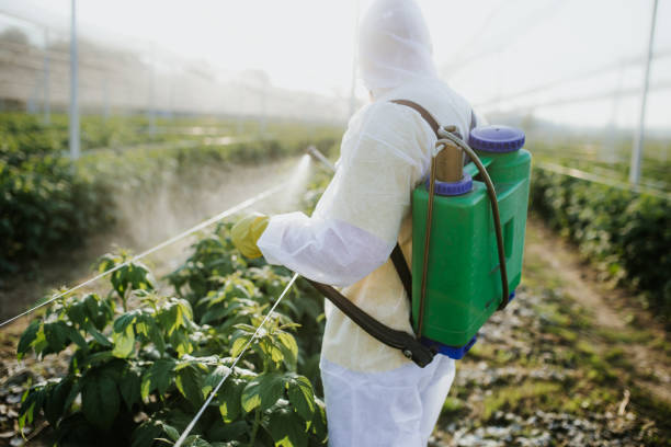 Best Pest Inspection Near Me  in Hart, TX